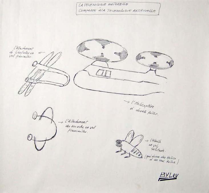 <strong>L'attachement des libellules en vol fiançailles</strong><br/>  marker & graphite on paper / 45x 49cm / 2008